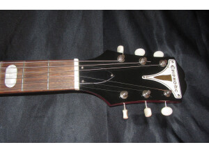 Epiphone Crestwood Custom (46294)
