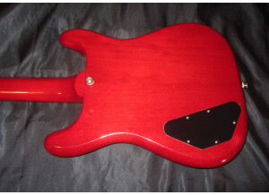 Epiphone Crestwood Custom (87620)