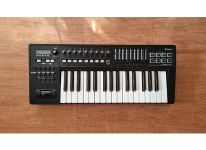 Roland A-300  Pro 1