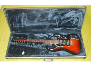 Burns Guitars Double Six (9976)