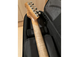 Haar Stratocaster (30666)