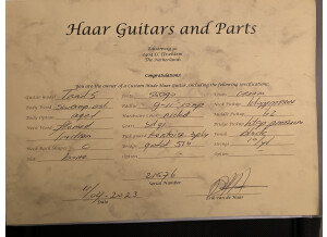 Haar Stratocaster (27102)