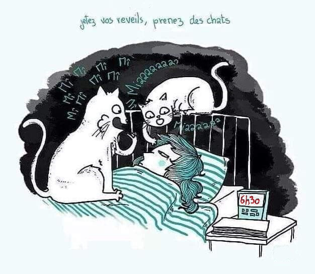 5936103.jpg 5936103.jpg