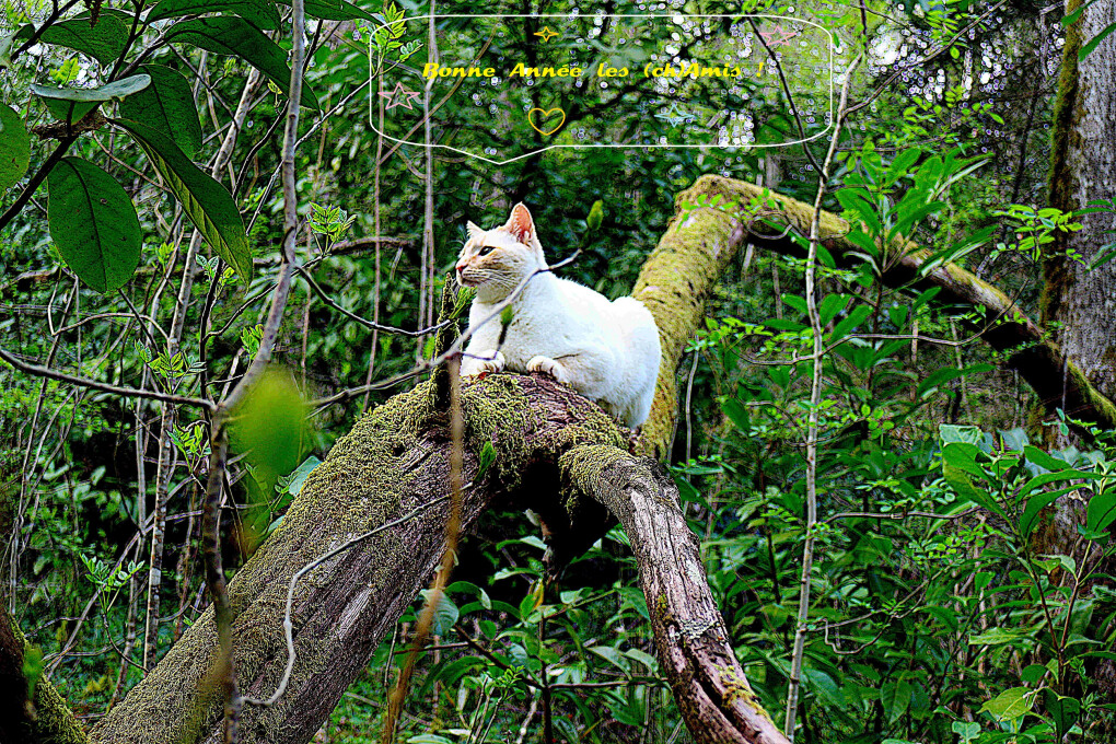 5936105.jpg 5936105.jpg