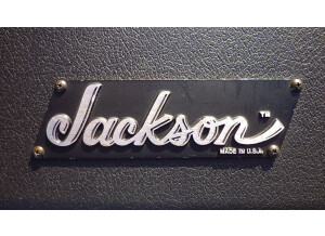Jackson Dinky/Soloist Case