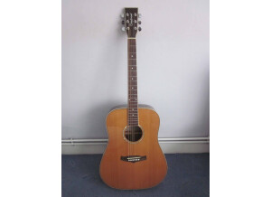 Tanglewood TW28 CSG (89540)