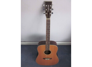 Tanglewood TW28 CSG (91918)