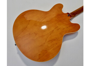 Epiphone Nick Valensi Riviera P94 (88624)