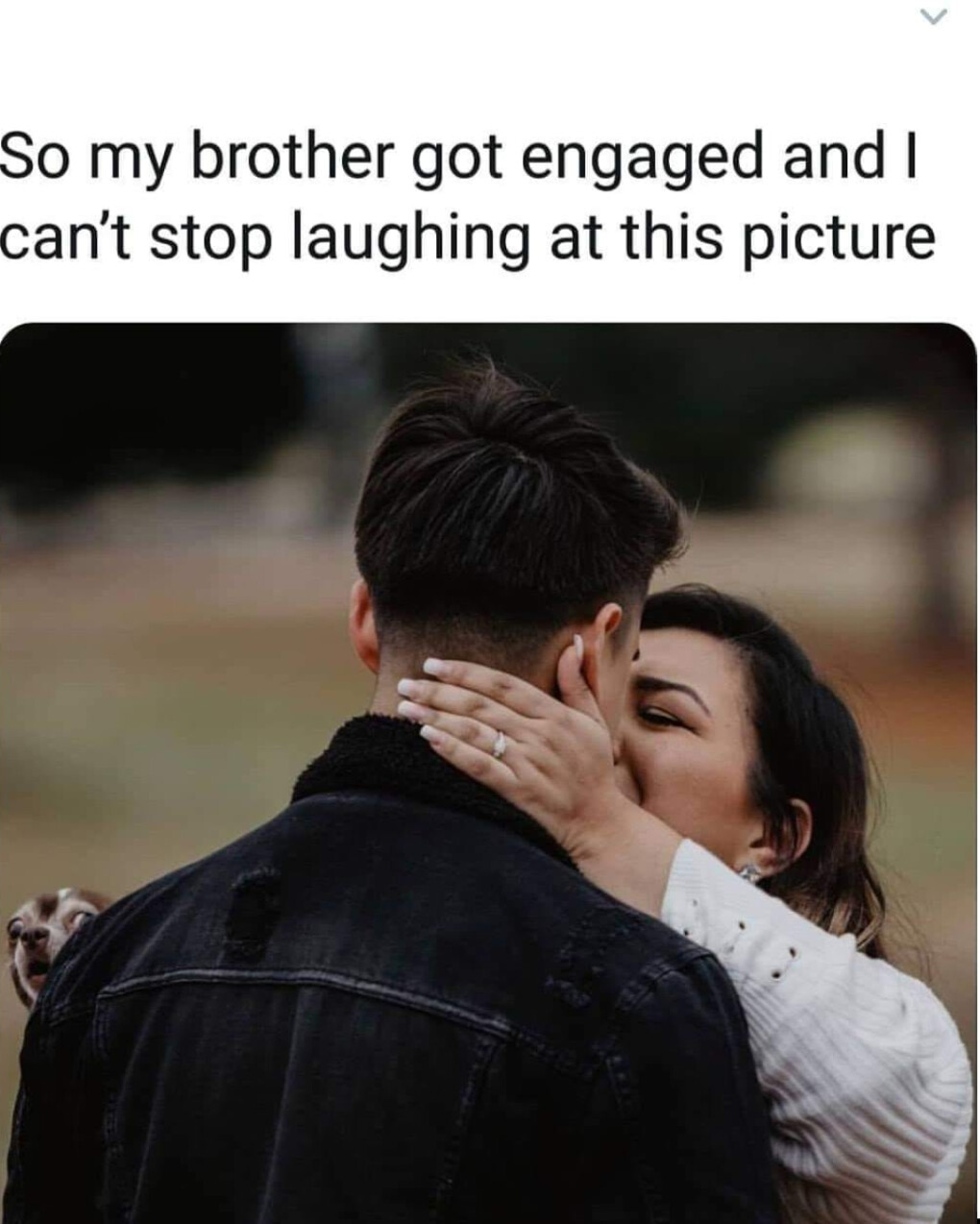 5936915.jpg 5936915.jpg