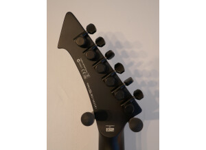 LTD Vulture James Hetfield