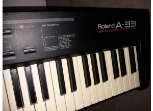 Roland A-33 (56536)