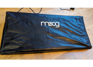 Moog Music Moog One 16
