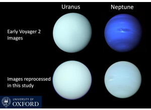 Combined figures crop