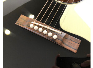 Bourgeois Grand Auditorium DB signature (39391)