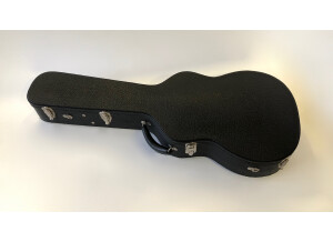 Bourgeois Grand Auditorium DB signature (19250)