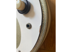 Danelectro 59-DC (81260)