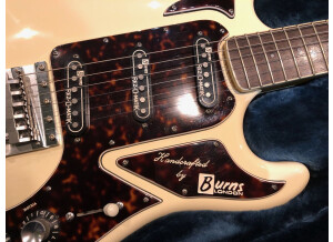 Burns Guitars Hank Marvin Signature