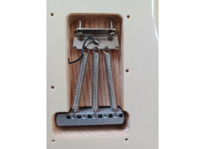 Fender Vintera '50s Stratocaster (23168)