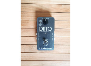 TC Electronic Ditto Stereo Looper (54939)