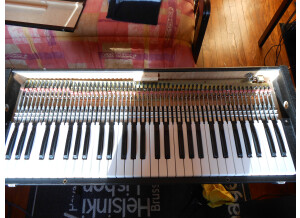 Hohner Pianet T (61417)