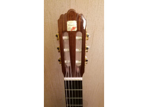 Alhambra Guitars 4P (70063)