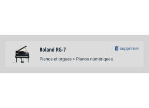 Roland RG-7 (98522)