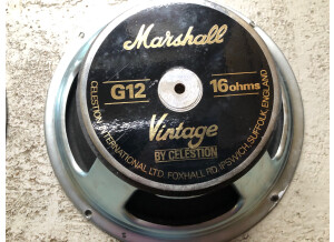 Marshall G12 Vintage (5137)
