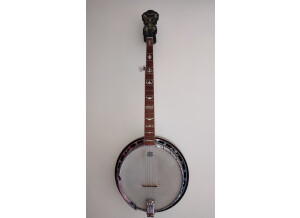 Fender FB-58 Banjo