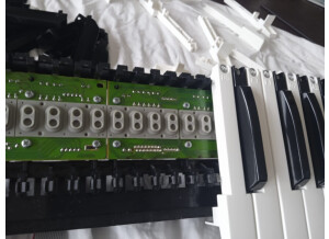 Clavia Nord Lead 2X (48671)