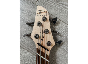 Dingwall CB3 Combustion 5-String