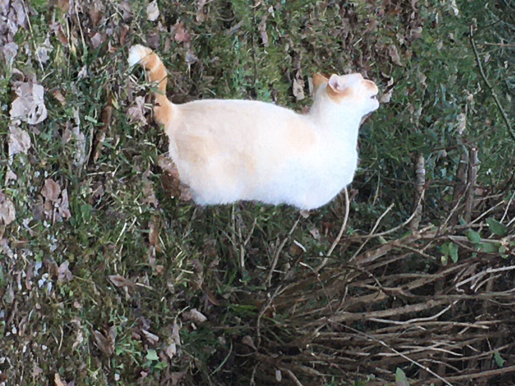 5943092.jpg 5943092.jpg