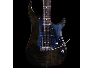 Vigier Excalibur Shawn Lane