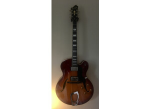 Hagstrom HJ-800 (34900)