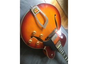 Hagstrom HJ-800 (72026)