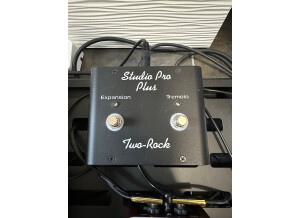 Two-Rock Studio Pro 22 Head (74602)