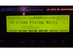 Roland JV-2080 (3249)