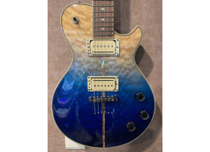 Michael Kelly Guitars Mod Shop Patriot Instinct Duncan (79602)