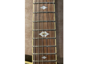 Michael Kelly Guitars Mod Shop Patriot Instinct Duncan (20191)