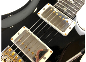 PRS Swamp Ash Custom 24 Limited 2013 (86333)