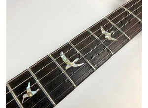 PRS Swamp Ash Custom 24 Limited 2013 (97373)