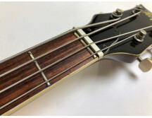 Hofner Guitars 500/1 (21097)