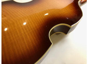 Hofner Guitars 500/1 (54314)