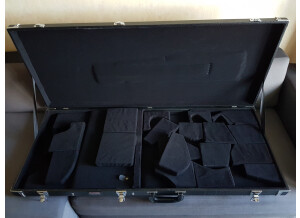 Gator Cases GW-Extreme - Extreme Electric Guitar Deluxe Wood Case
