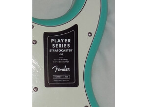 Fender Player Stratocaster HSS (8876)