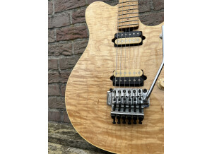 Music Man Eddie Van Halen Signature (40376)