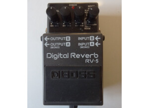 Boss RV-5 Digital Reverb (43165)