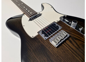 Fender U.S. Plus Tele Plus [1990-1995] (42265)