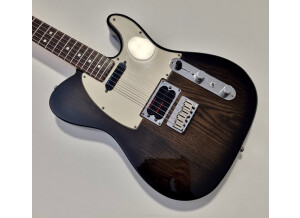 Fender U.S. Plus Tele Plus [1990-1995] (80916)