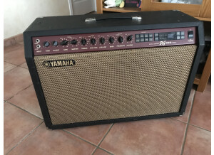 Yamaha DG100-212 (84932)