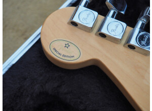 Fender Silver Sister Stratocaster